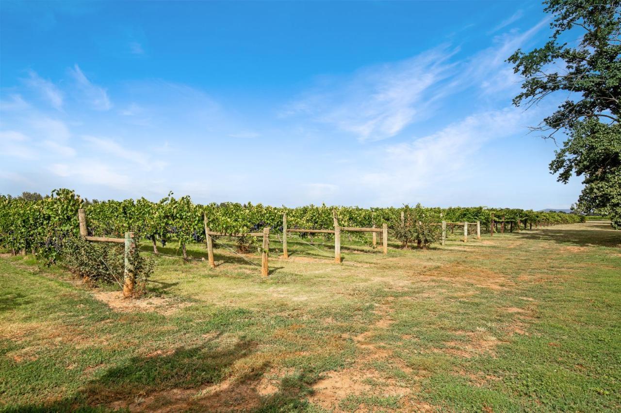 Milawa Vineyard Views - Guesthouse 2 Exterior photo